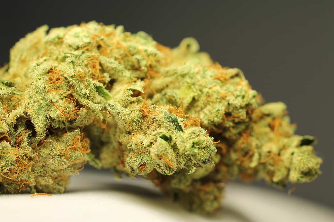 Navigating Social Media Rules for Cannabis Brands: What You Can (and Can’t) Do